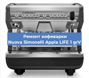 Замена прокладок на кофемашине Nuova Simonelli Appia LIFE 1 grV в Тюмени